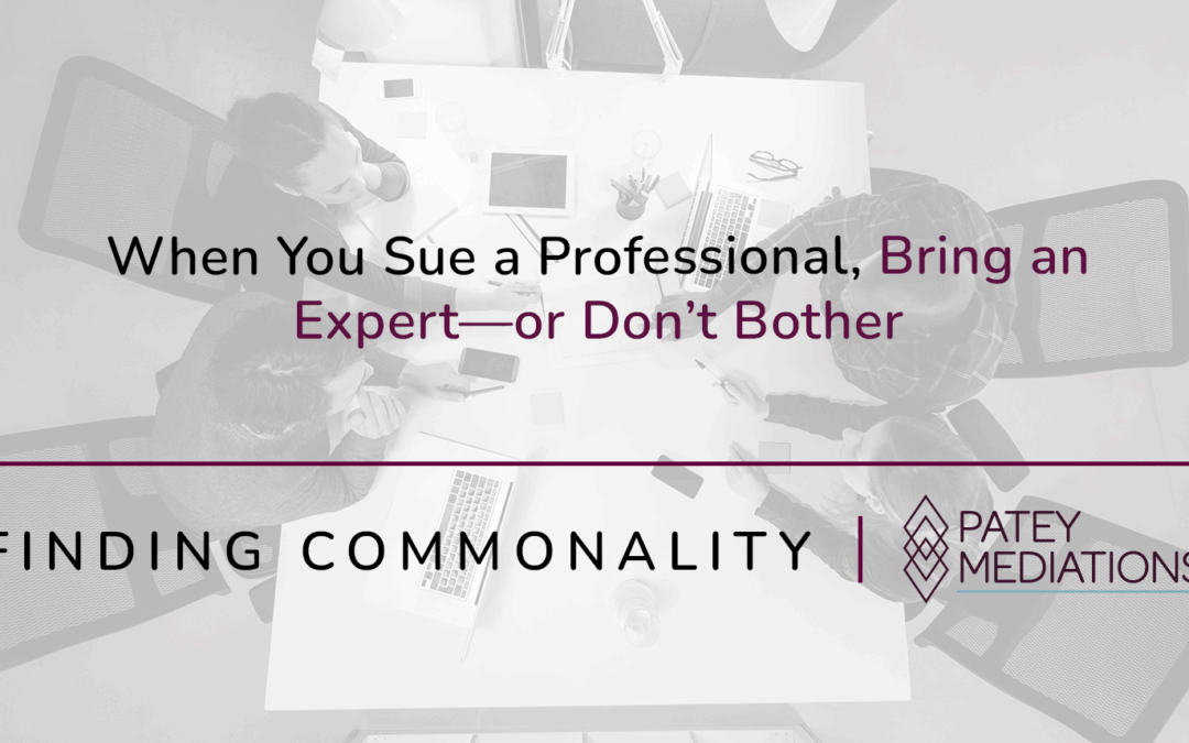 When You Sue a Professional, Bring an Expert—or Don’t Bother