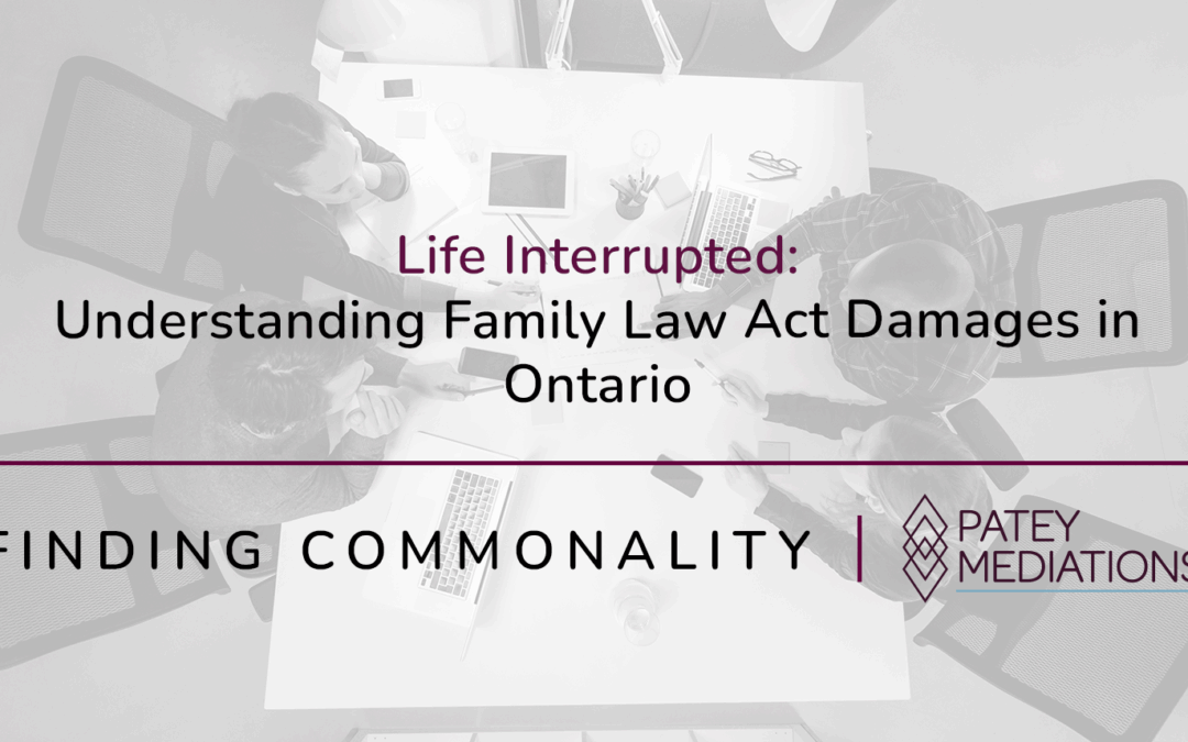 Life Interrupted:  Understanding Family Law Act Damages in Ontario