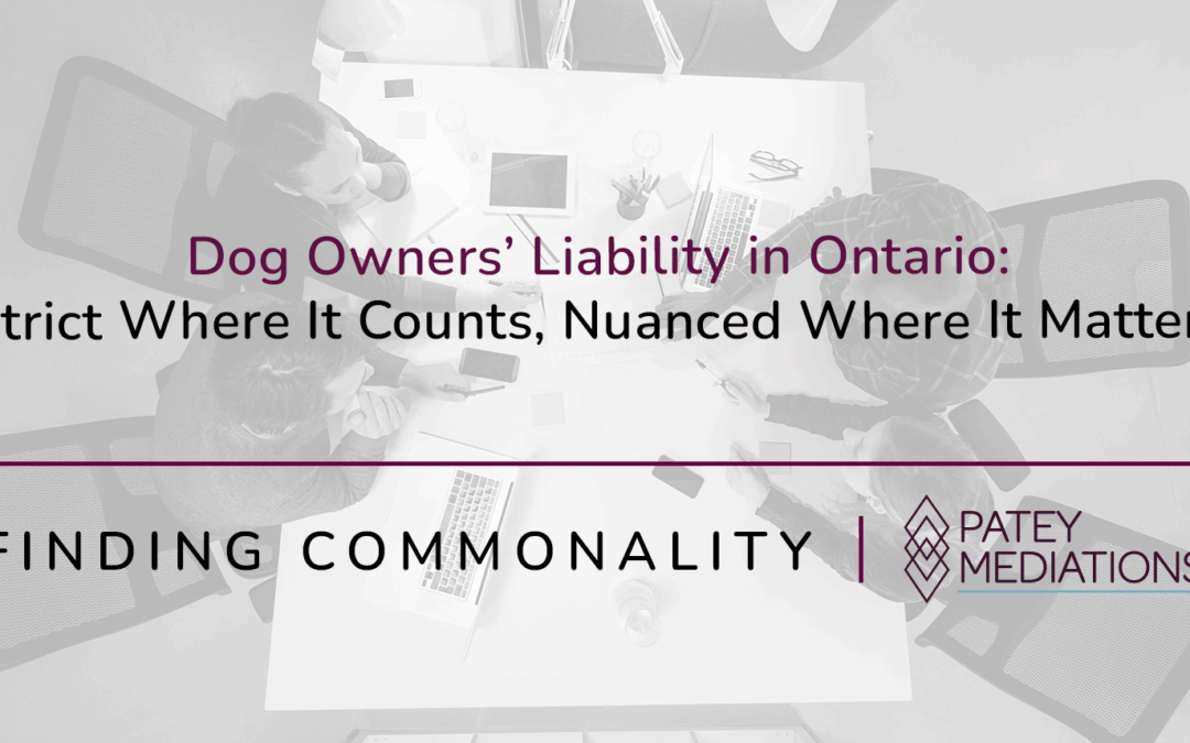 Dog Owners’ Liability in Ontario:  Strict Where It Counts, Nuanced Where It Matters
